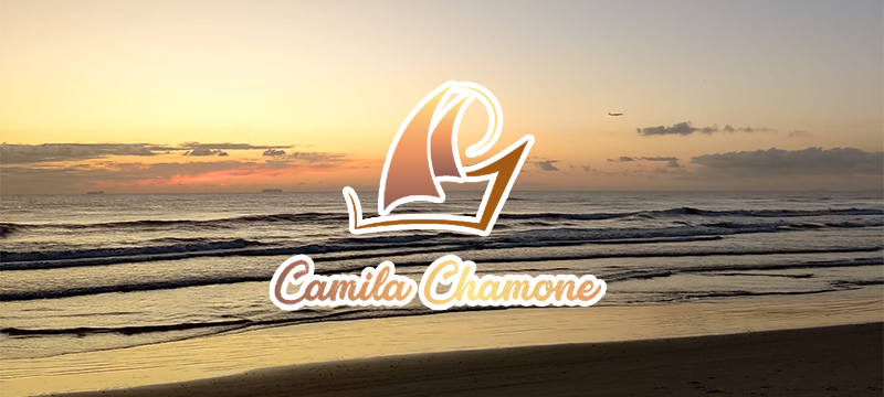 Leia mais sobre o artigo O Sentido do Barco e das Cores no meu Logotipo